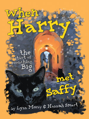cover image of When Harry Met Saffy